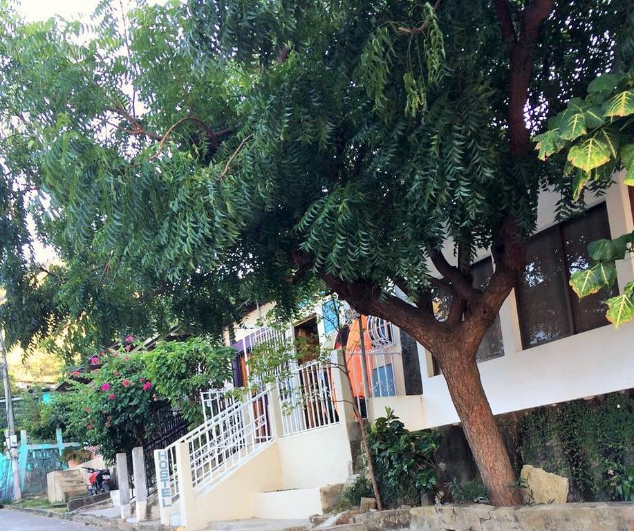 Lorena Surf Hostel San Juan del Sur Eksteriør billede